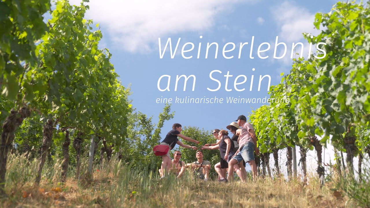 Weinerlebnis am Stein in Würzburg - eine kulinarische Weinwanderung