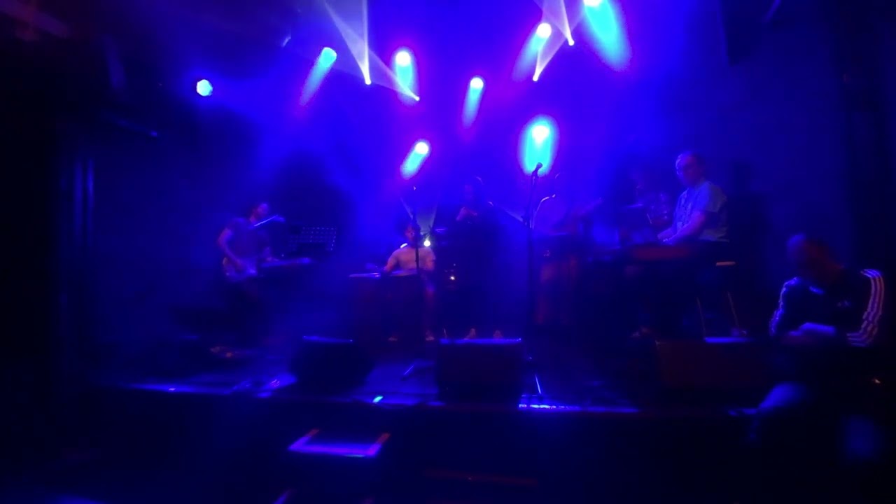 The House Of The Risin' Sun - cover