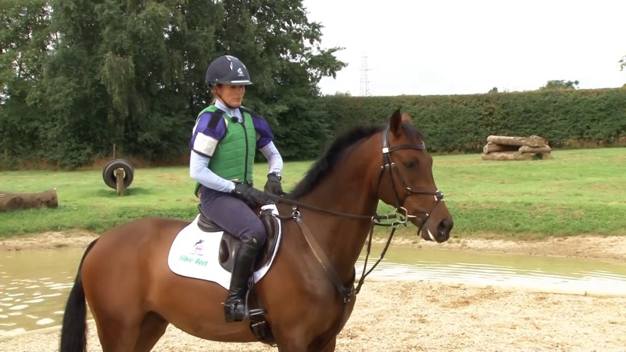 Training the Young Horse for Eventing - Jumping a young horse into and out of water