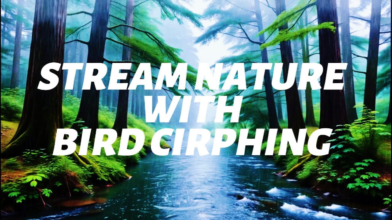 Soothing River Flow - Best Nature Sounds for Deep Sleep, Relaxation & Meditation| 24/7 Hours