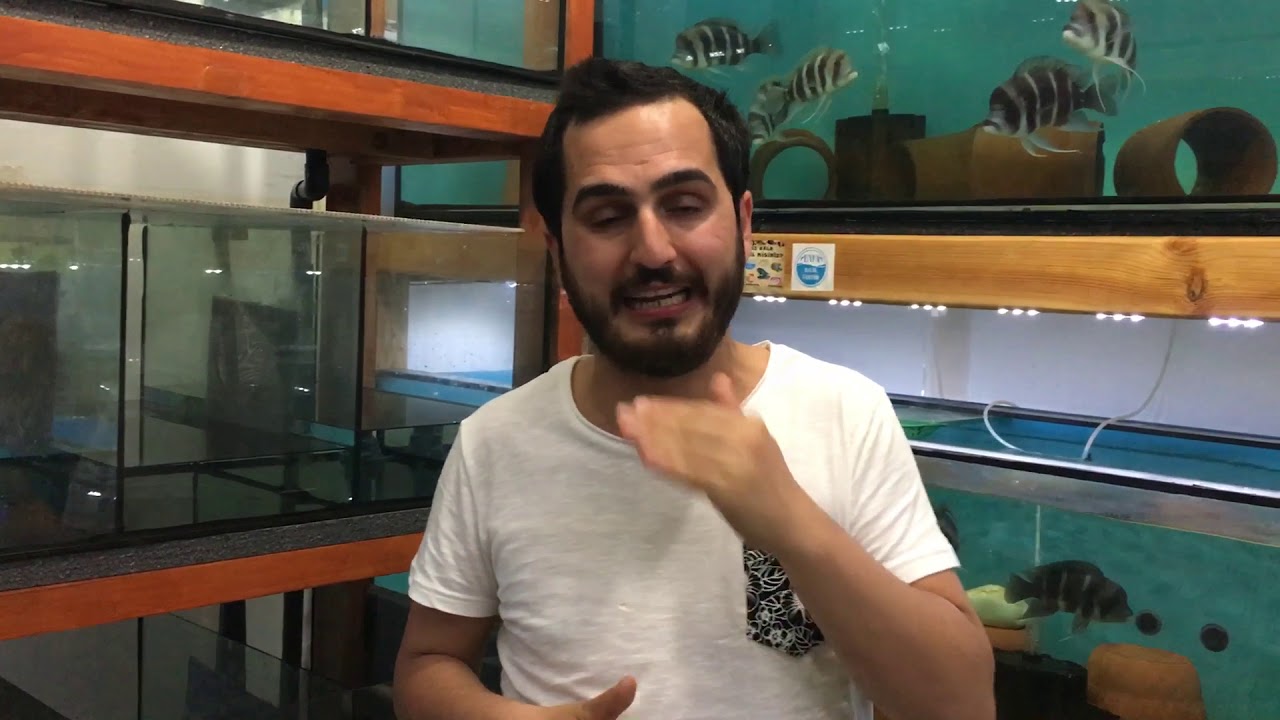 (#cekilisvar#) YİNE YENİ YENİDEN BALIKLARIMIZ YAVRU VERDİLER