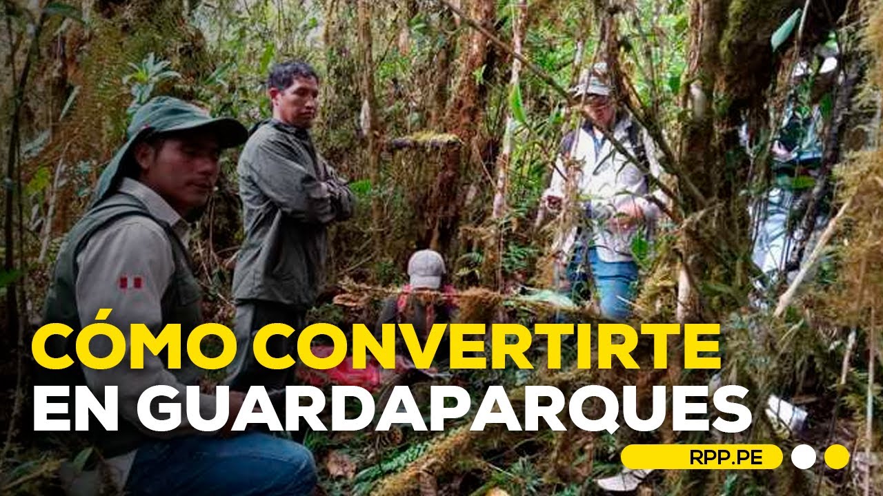 C&oacute;mo convertirte en un guardaparque voluntario