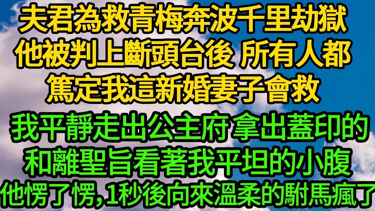 夫君為救青梅奔波千里劫獄，他被判上斷頭台後 所有人都篤定我這新婚妻子會救。我平靜走出公主府 拿出蓋印的和離聖旨，看著我平坦的小腹 他愣了愣，1秒後向來的溫柔的駙馬爺瘋了