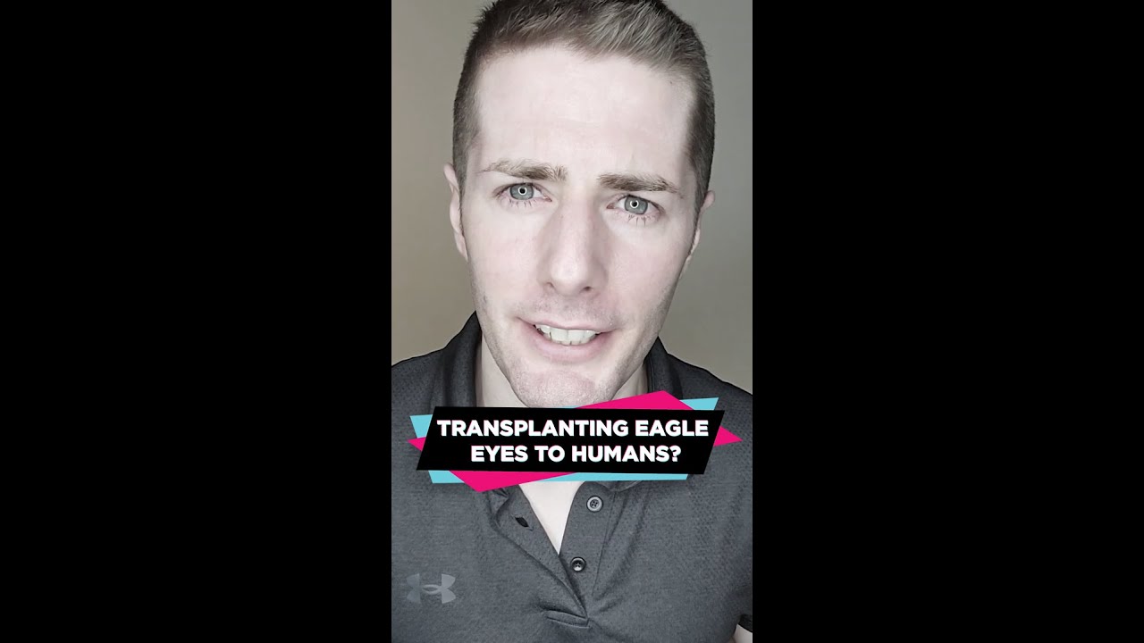Can A Human Have An Eagle's Eye Transplanted?