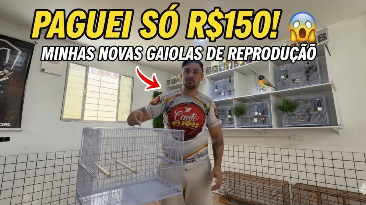 Mostrando minhas novas gaiolas de reprodução para criar Papa Capim e Coleiro.