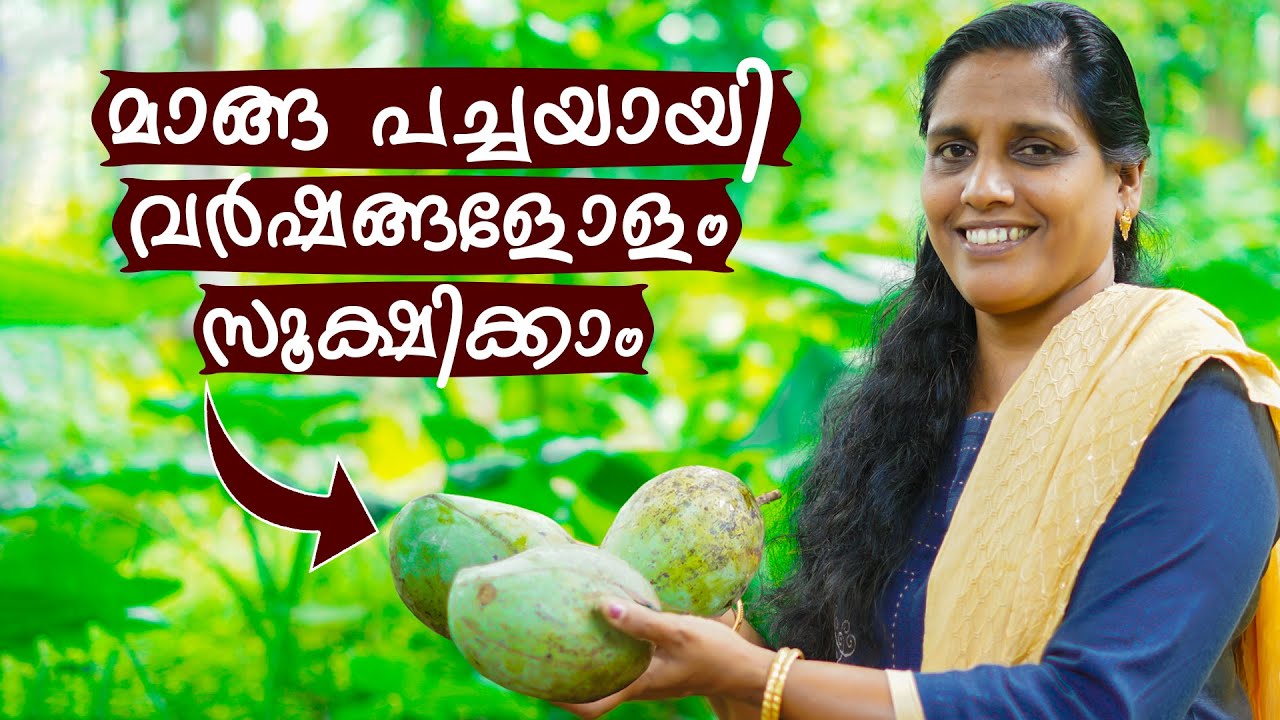 പച്ചമാങ്ങ പച്ചയായി വർഷങ്ങളോളം സൂക്ഷിക്കാം | How to Preserve Mango Fresh for years
