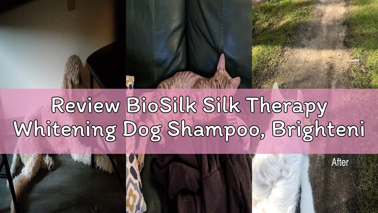 Review BioSilk Silk Therapy Whitening Dog Shampoo, Brightening Pet Shampoo with Silk Protein for Whi