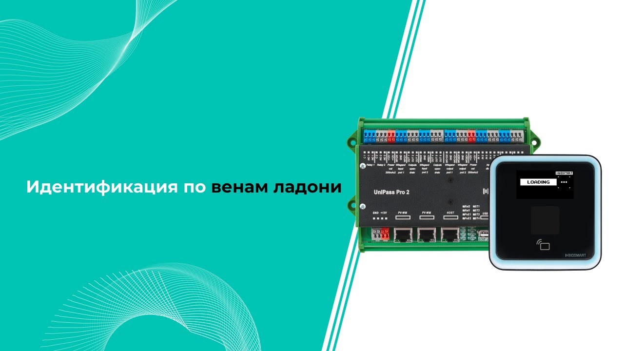 Идентификация по венам ладони. О технологии