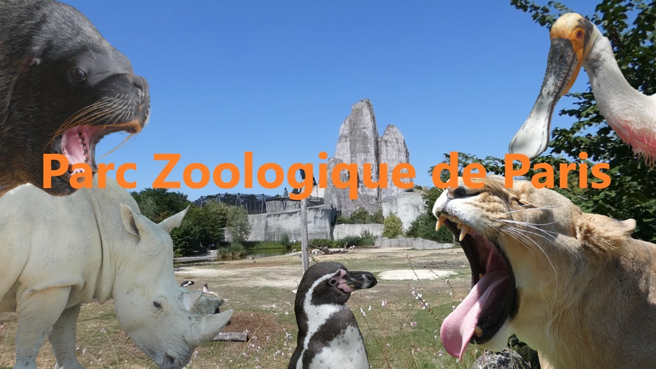 Ein Besuch im Parc Zoologique de Paris 🇫🇷 | Zoobesuch #2