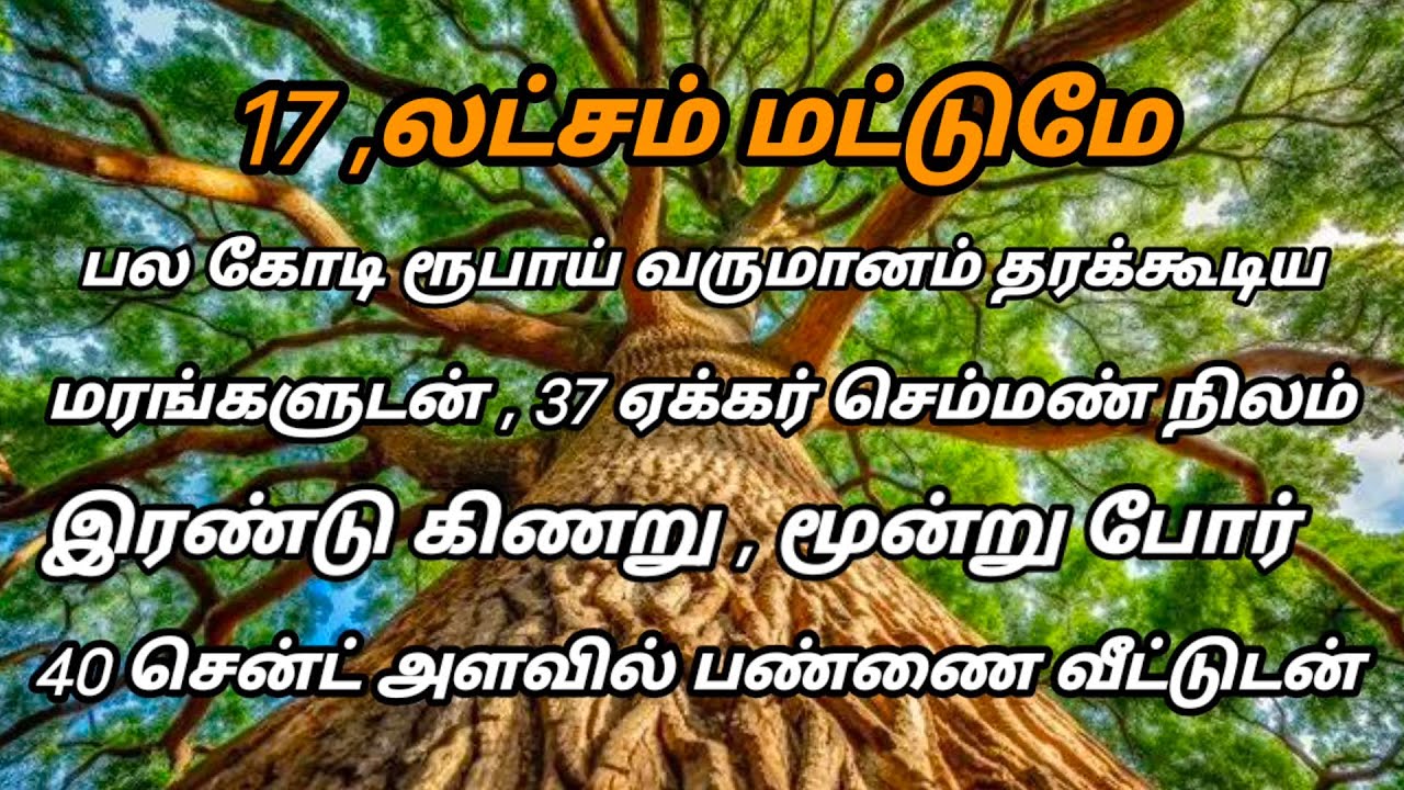 மிகக் குறைந்த விலையில் விவசாய நிலம் விற்பனை# low price agriculture land sales 🍁farmhouse sales🛣️✓