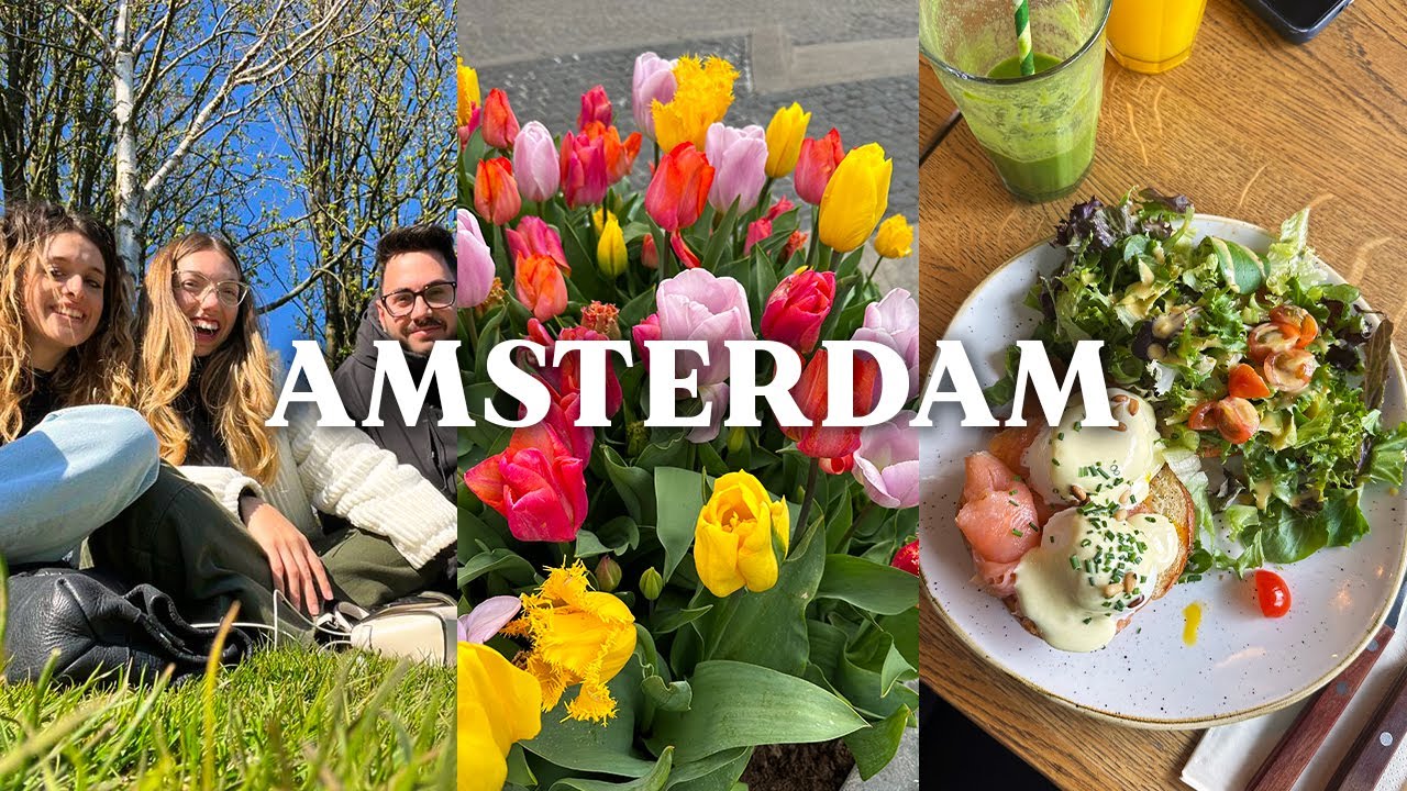 Cos'ho fatto e quanto ho speso ad AMSTERDAM 🌷