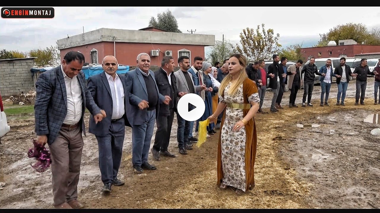 Zıheri Aşireti - Silopi Binici Ailesi Uğur Binici Düğünü  - Part.2- 📽👏🏻 GrupNihatSilopi