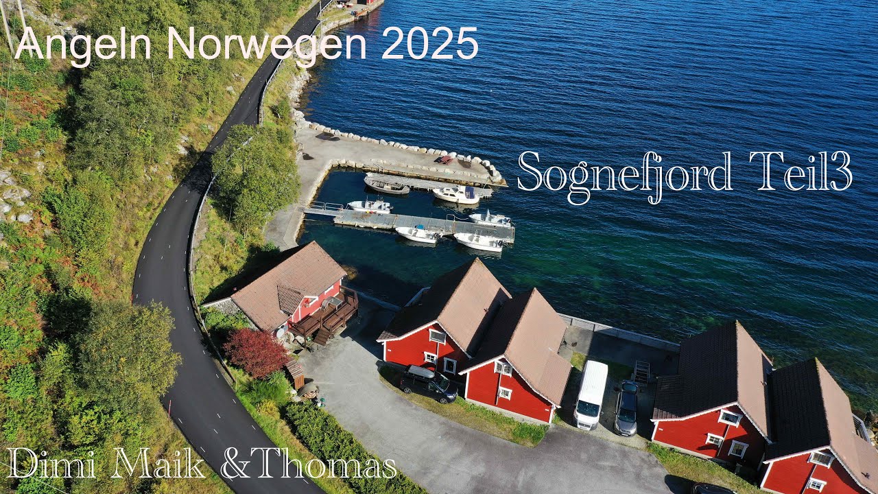Angeln in Norwegen 2025 Sognefjord Hjartholm Feriehytter Teil 3 Dimi Thomas&Maik