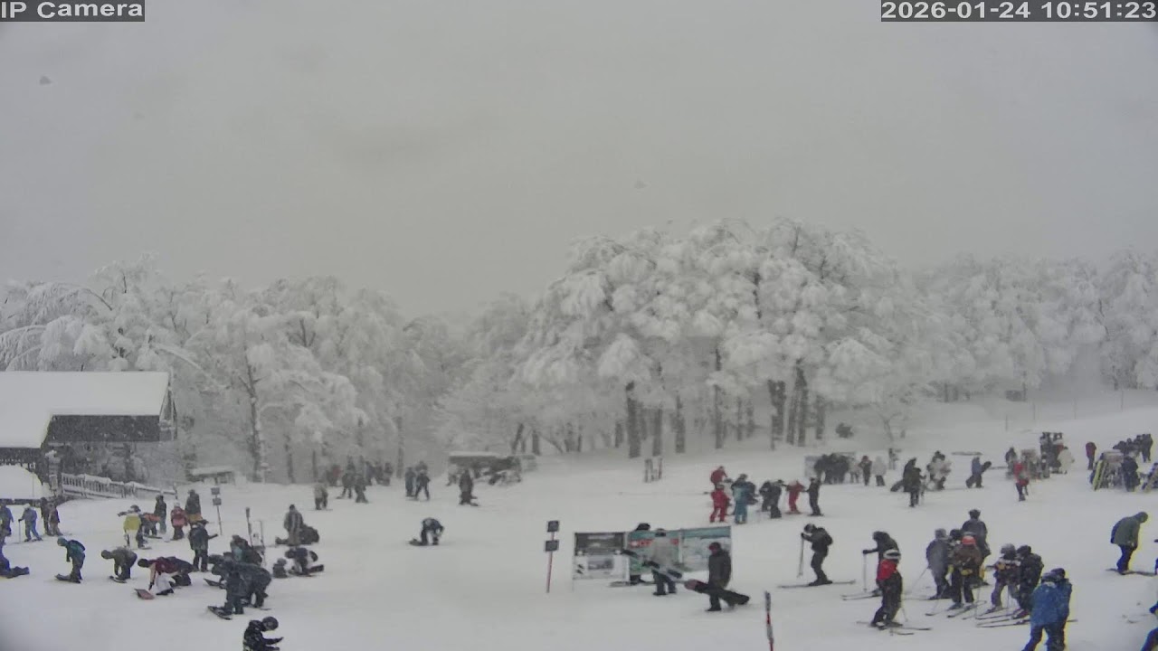 Camera 白馬岩岳マウンテンリゾート - 2026-01-24 09:40