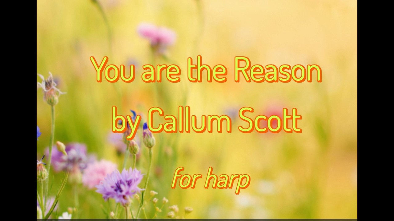 You are the Reason - Calum Scott - Harp Sheet Music