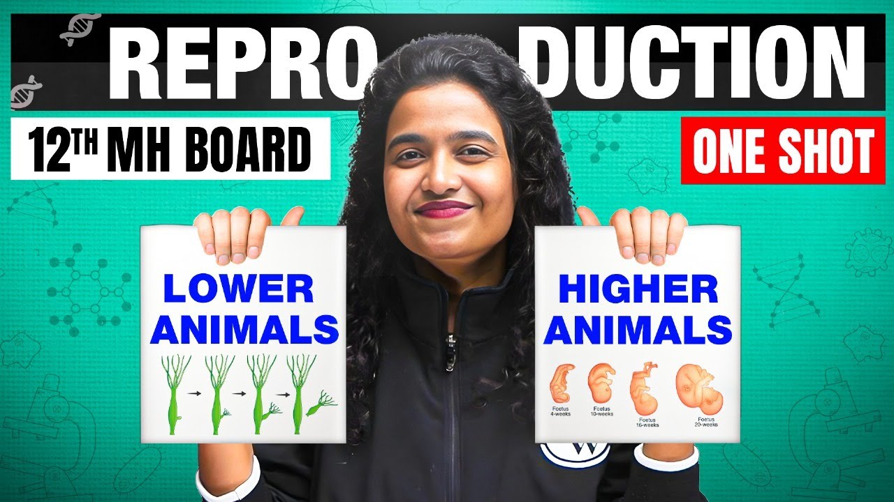 Reproduction in Lower and higher Animal 🔥 | Class12th HSC | Biology | Maharashtra Board