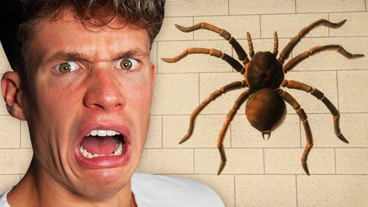 ICH HASSE SPINNEN !!!!!!!!!