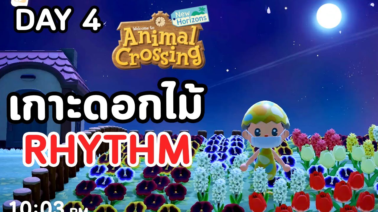 Animal Crossing : Day 4  เที่ยว Rhythm เกาะดอกไม้สไตล์ญี่ปุ่น