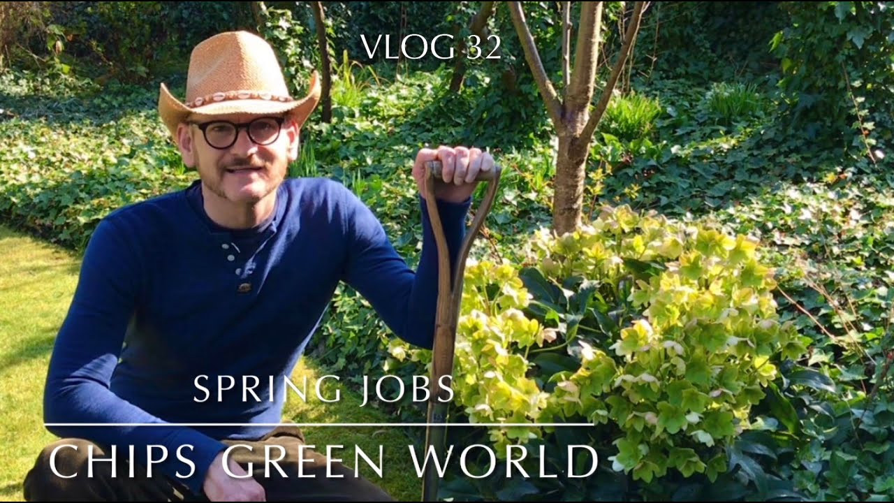Spring Garden tour tasks & jobs #springgarden #springgardening #gardeningtips