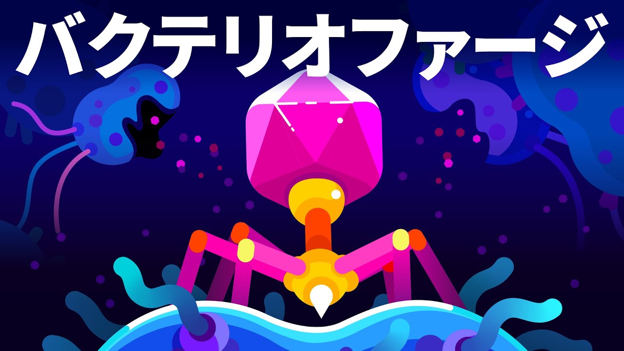 地上で最も危険な存在&ndash;バクテリオファージ