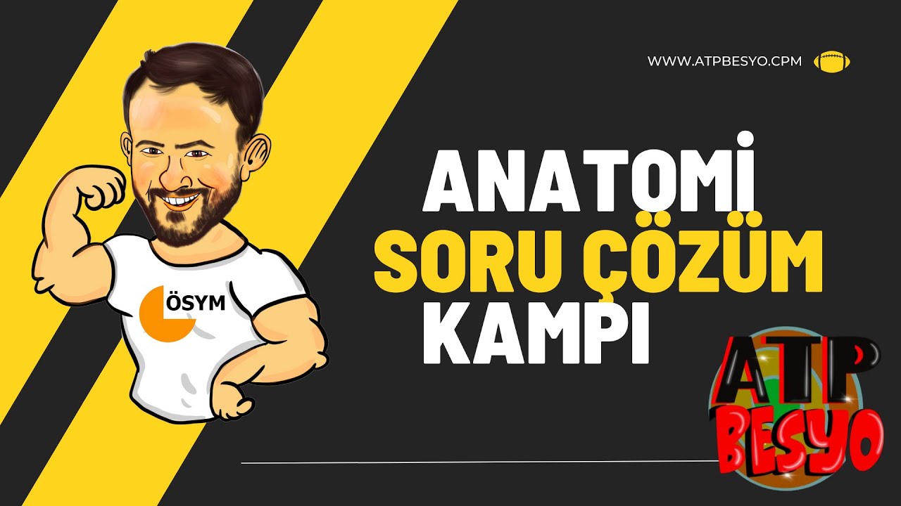 İnsan Anatomisi ve Kinesiyolojisi Soru Çözüm 3