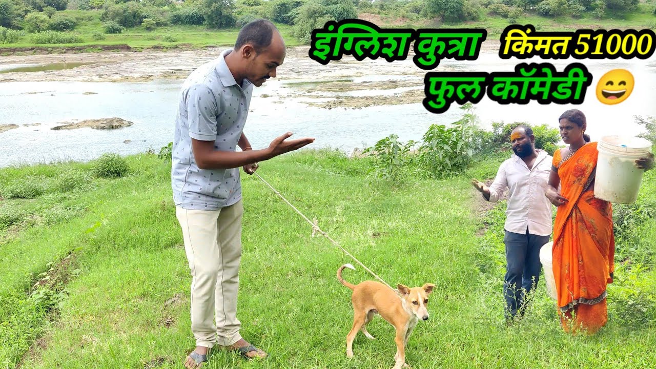 माऊलीने दीला पाव्हण्याला इंग्लिश कुत्रा फुल कॉमेडी