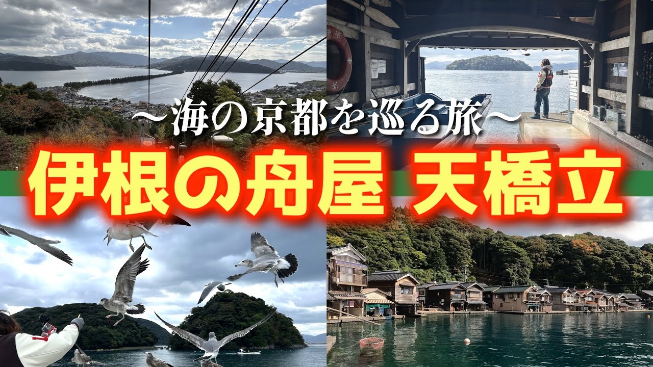 【海の京都】伊根の舟屋でカモメに囲まれる 遊覧船と天橋立を巡る夫婦ドライブ旅