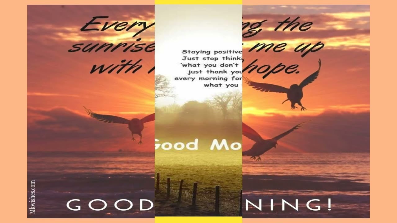 Good Morning  Quotes