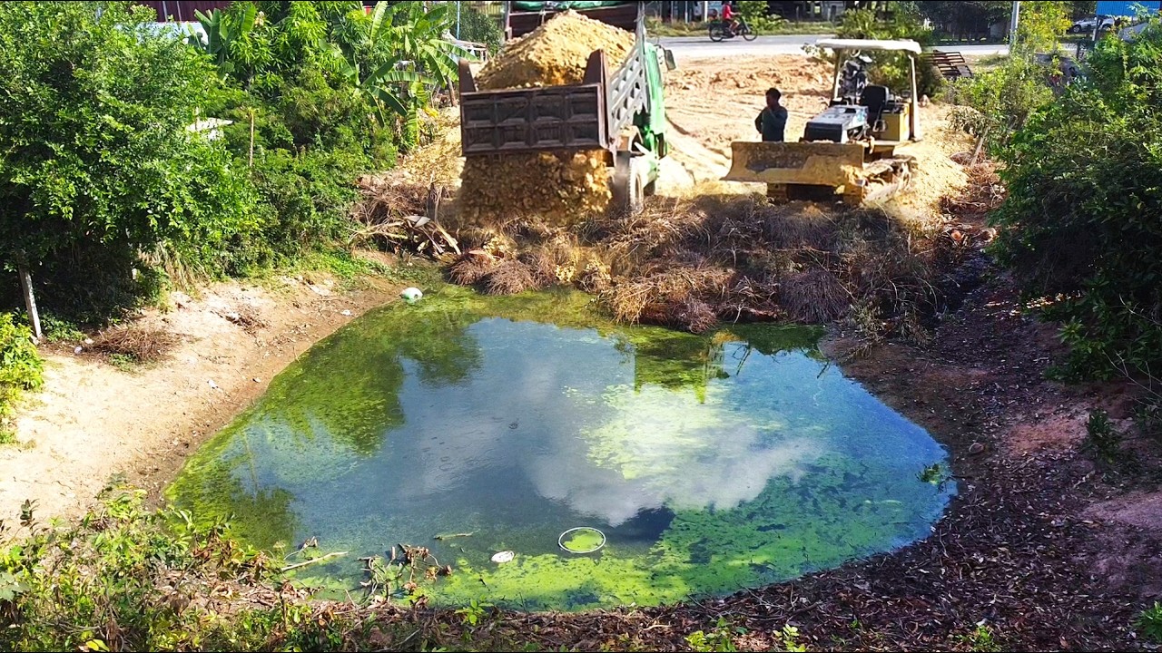First Start New PROJECT!! Filling land Delete Useless Deep Fish Pond Use Strong Dozer & 5Ton Truck.