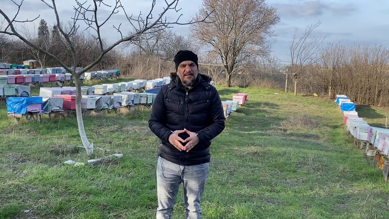 Arı bölmek için en uygun hangi aylar
