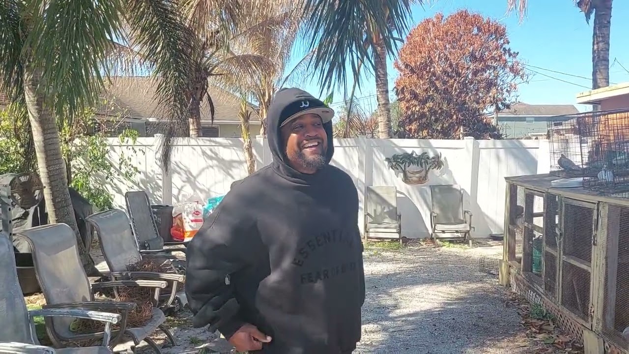 Robert Took all the pigeons He's Very happy