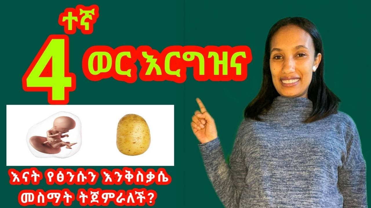 አራተኛው ወር እርግዝና//Four months pregnancy