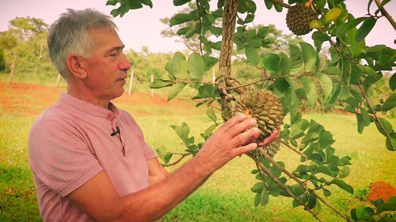 Terra do Marolo | Documentário | Prefeitura de Paraguaçu MG