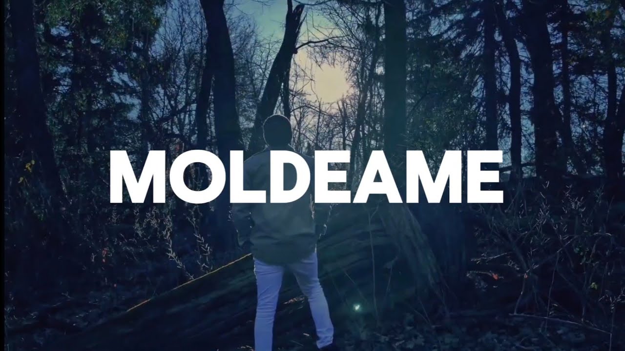 El Servidor - MOLDEAME (Official Video)