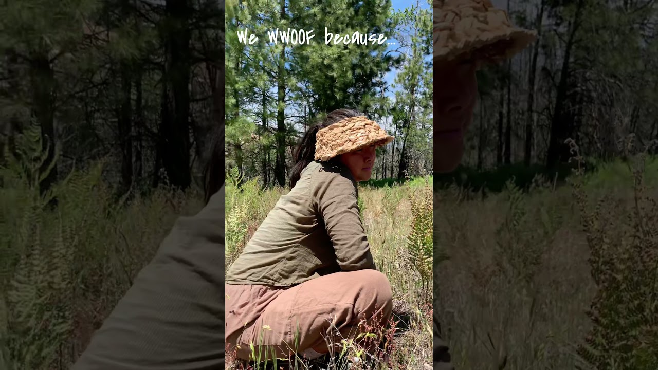#myWWOOFstory