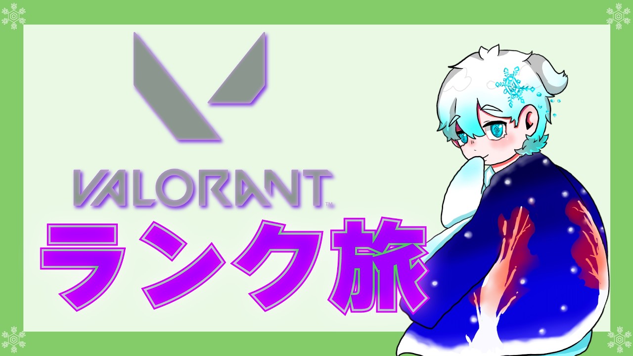 シルシルシルバーほとんど白色【VALORANT】【龍月 冬】【センチネル専】