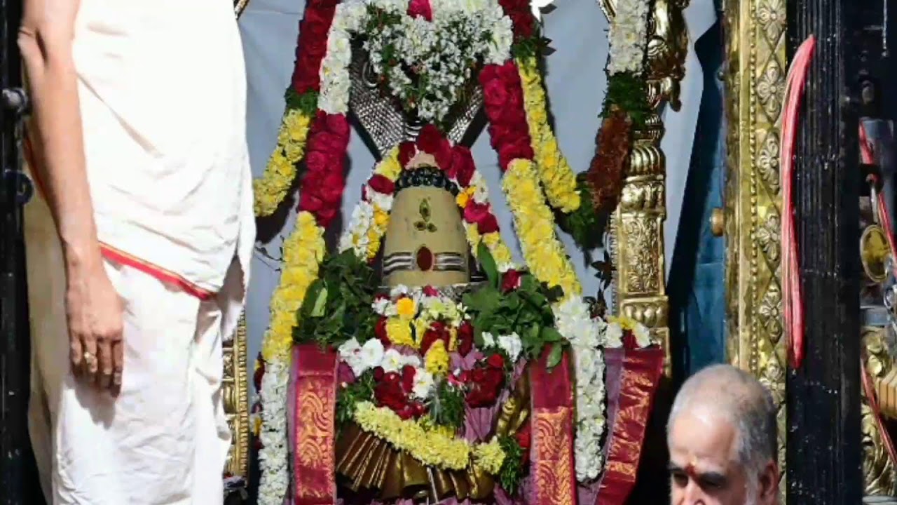 లింగోద్భవ అభిషేకం గోల్డెన్ టెంపుల్‌