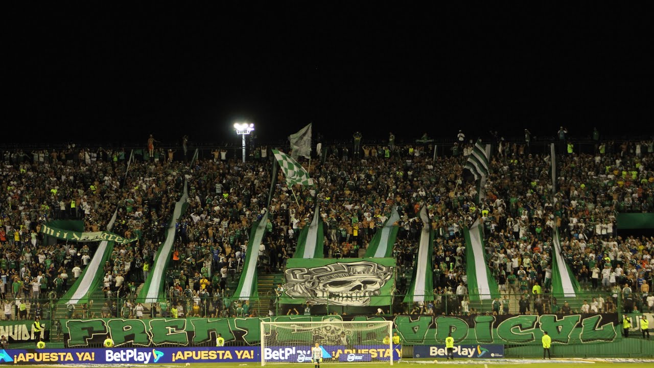 Coros Frente Radical Verde | Deportivo Cali 0-2 D. Pereira | Santiago Del Cali