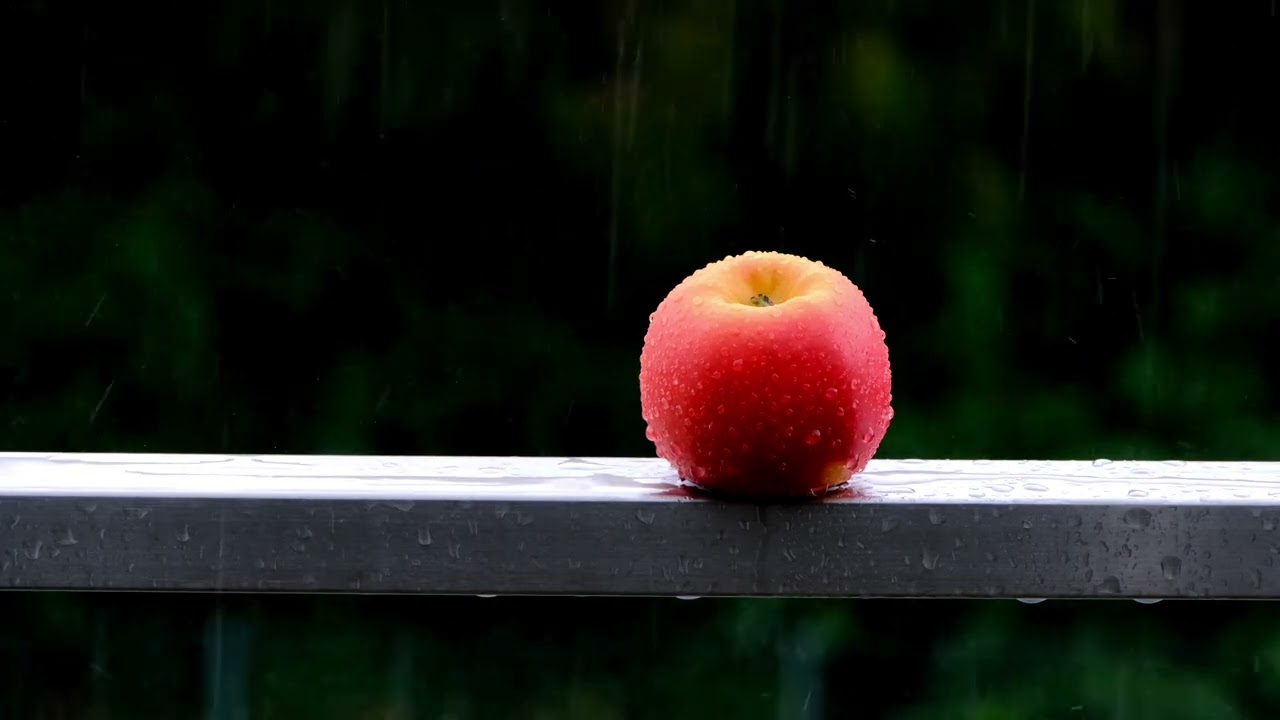 Apple in the Rain 🍎🌧️ – Relaxing Loop Video