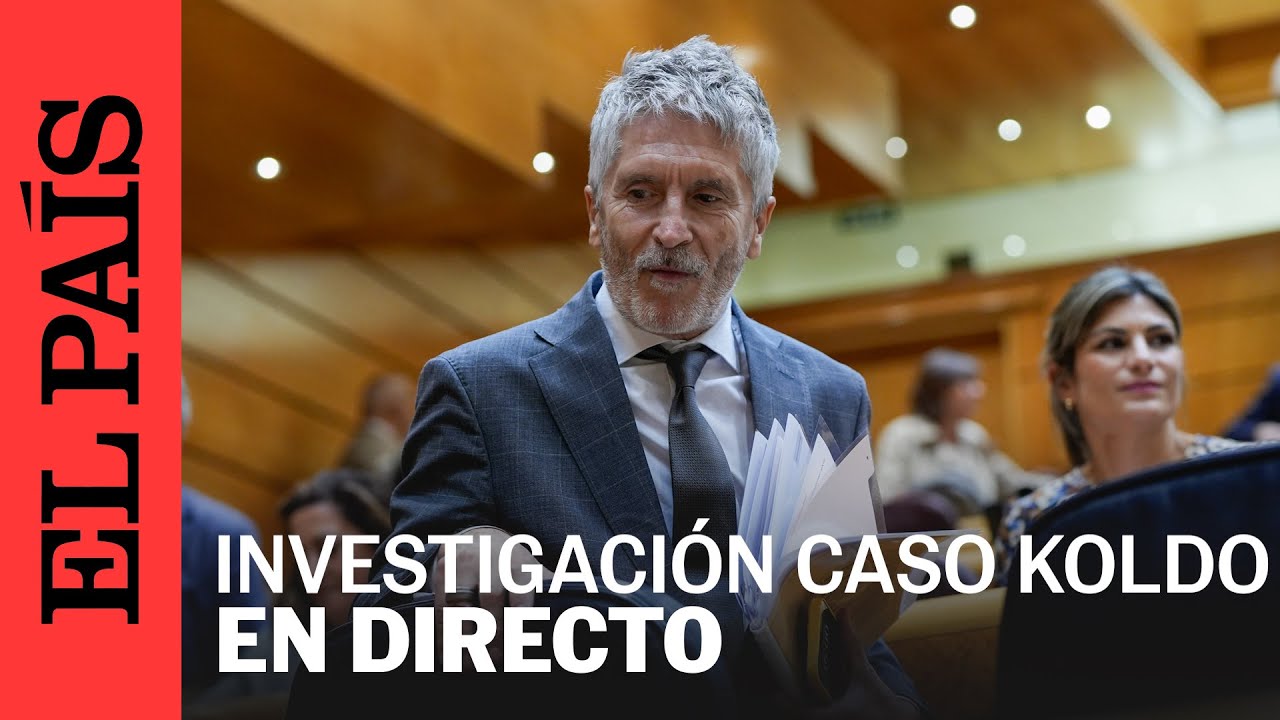 DIRECTO | Comisión de investigación por el 'Caso Koldo' | EL PAÍS