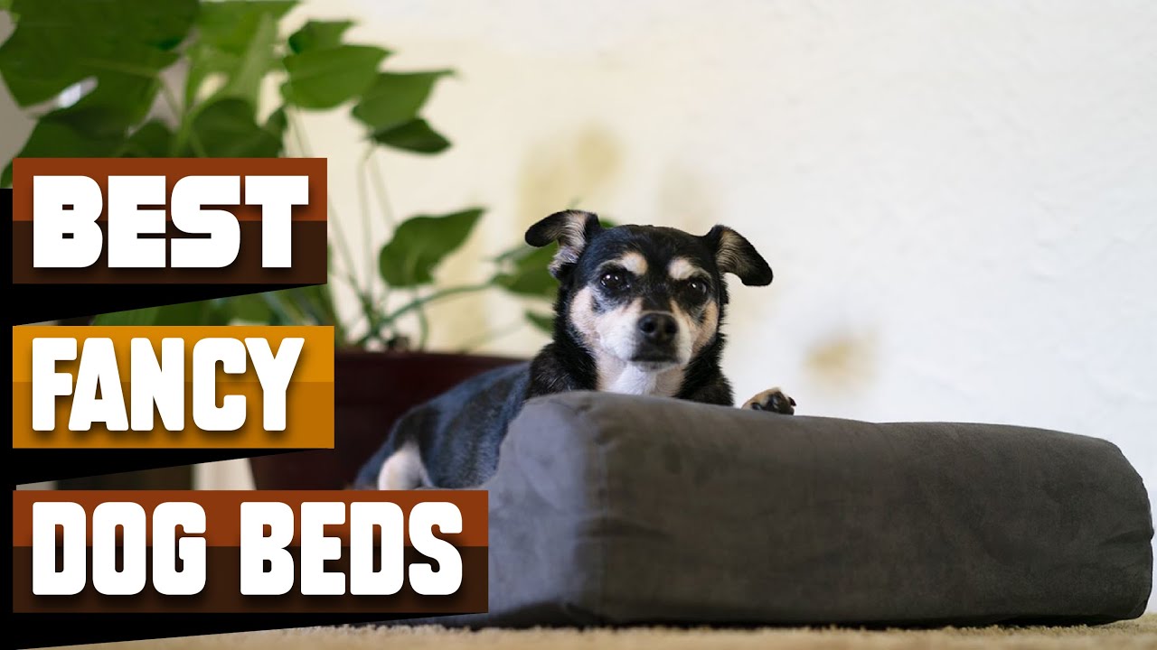 Best Luxury and Fancy Dog Bed In 2026 - Top 10 Luxury and Fancy Dog Beds Review