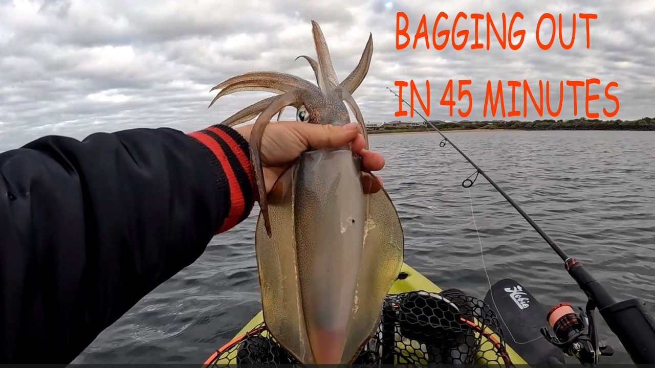 PORT PHILLIP BAY SQUID FISHING (bagging out in record time)