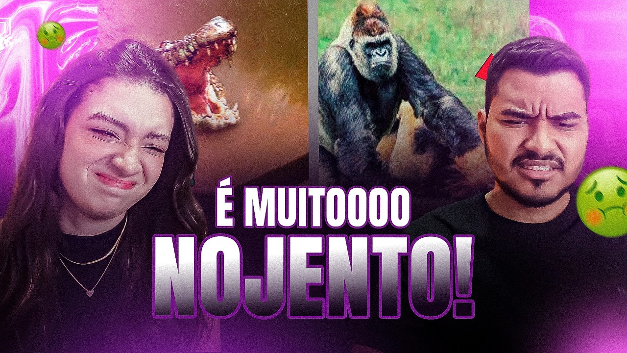 CASAL REAGE:  🔴 Quando os Animais Escolhem o Oponente Errado!