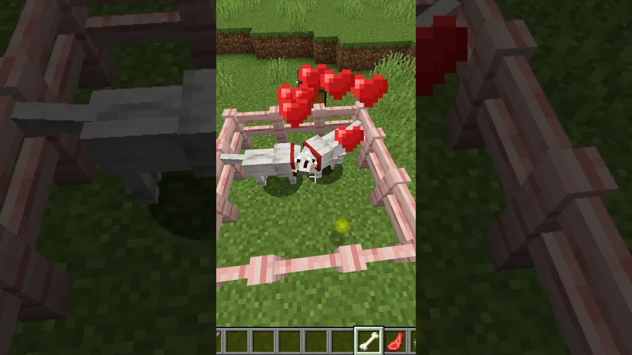 How to Tame and Breed Wolfs in Minecraft #minecraftbreeding #minecraftworld #minecraftwolf