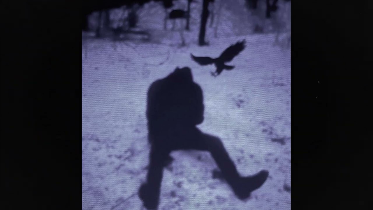 (free) alternative indie rock + post punk type beat ~ 