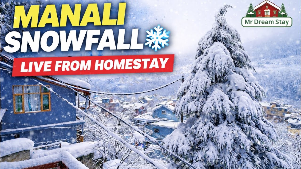 Manali Snowfall ❄️ Live from Homestay | Heavy Snow in Manali | Winter 2026
