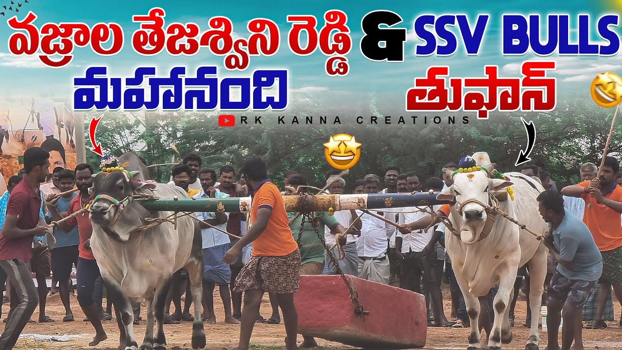 యాపర్ల న్యూ క్యాటగిరి విభాగం బండలాగుడు పోటీలు 3వ జత వజ్రాల తేజశ్విని రెడ్డి & Ssv ట్రేడర్స్-ox video