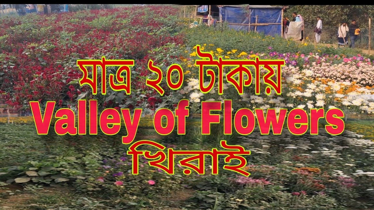 বাংলার ভ্যালি অফ ফ্লাওয়ার্স | Khirai Flower Garden Tour 2026