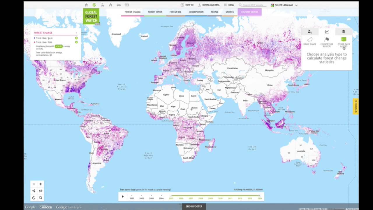 GFW Tutorial | Analyze on the Map