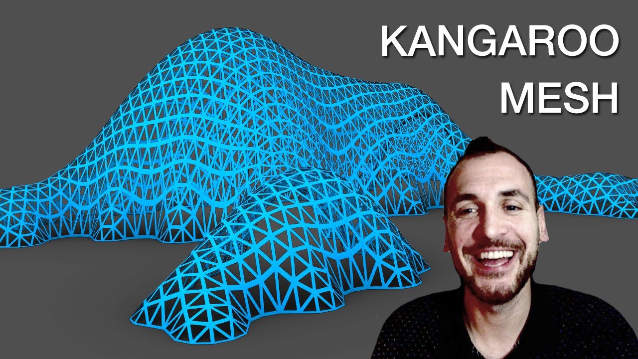 Kangaroo Mesh